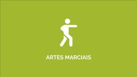 Artes Marciais