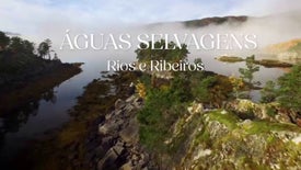 Águas Selvagens: Rios e Ribeiros