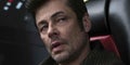 Benicio del Toro preside ao j�ri da sec��o Un Certain Regard do Festival de Cannes