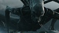 Fracasso de Alien: Covenant nos Estados Unidos compromete resultado mundial
