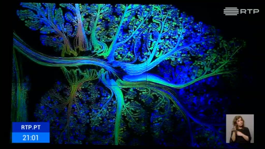 C�rebro humano e de alguns animais em destaque na Funda��o Calouste Gulbenkian