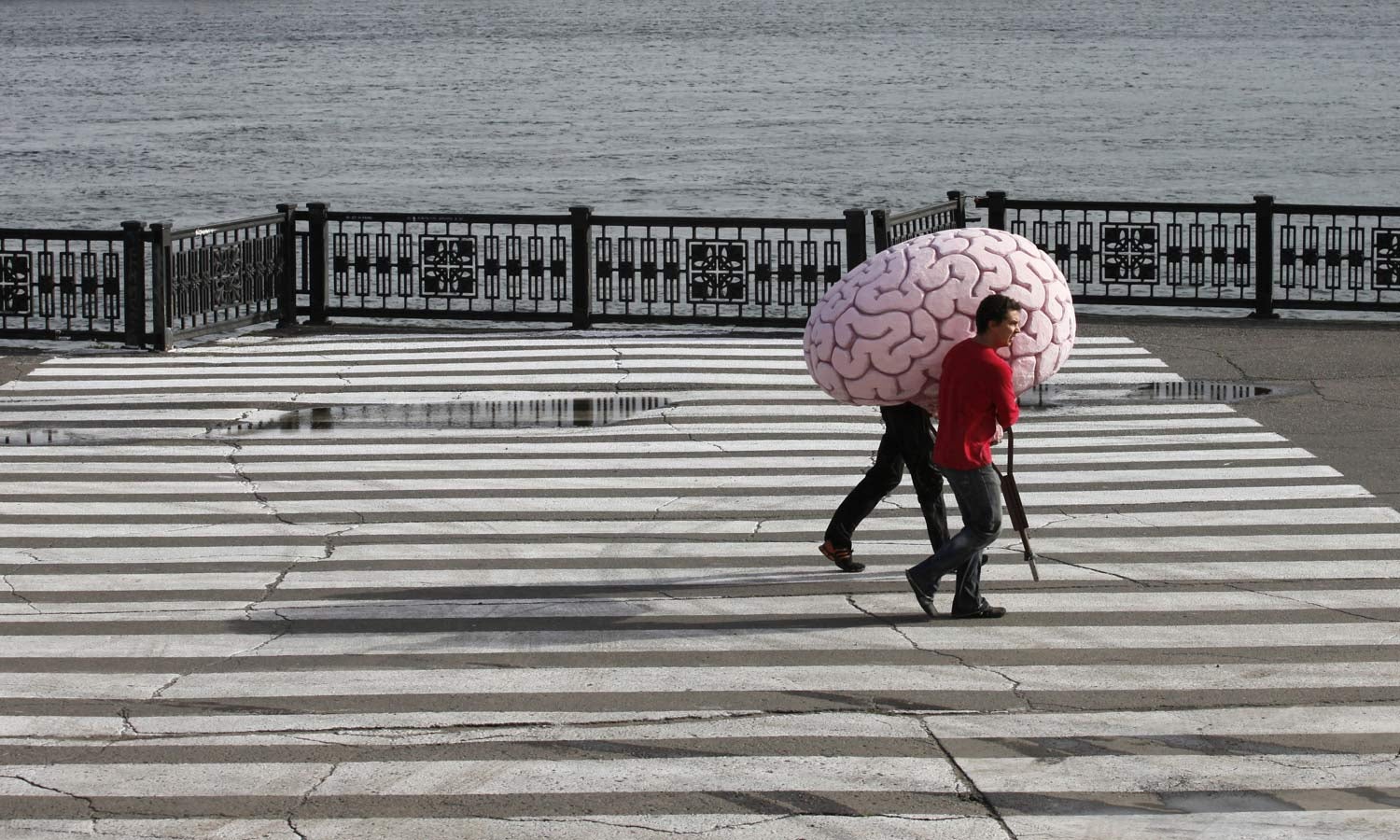 Gulbenkian mostra que o c�rebro � mais vasto que o c�u