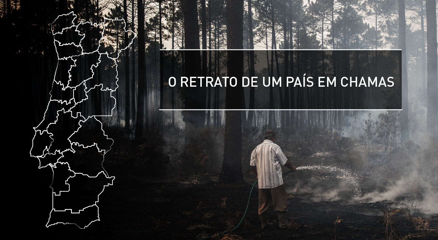 �rea ardida em Portugal