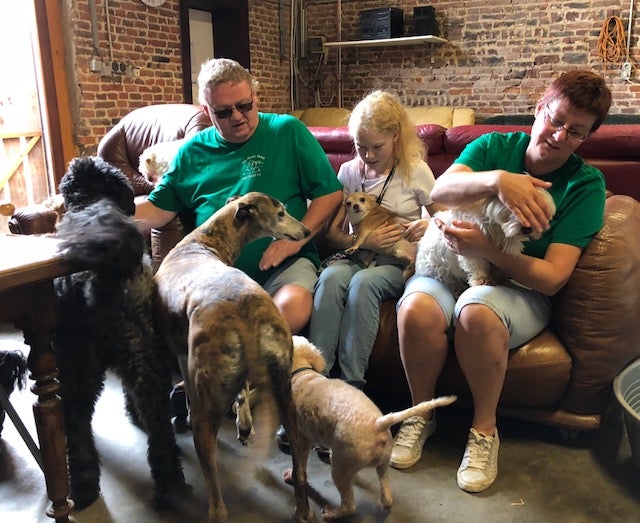 Les Petits Vieux, segunda oportunidade para animais abandonados