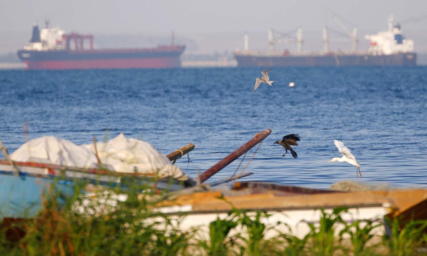 ZERO quer �rea de controlo de emiss�es junto � costa sul