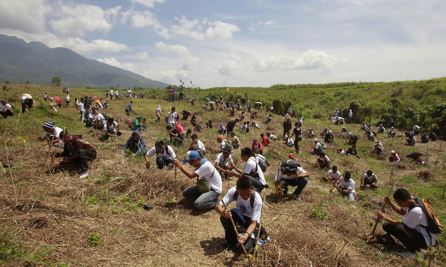 Alunos trabalham em campanha de valoriza��o florestal