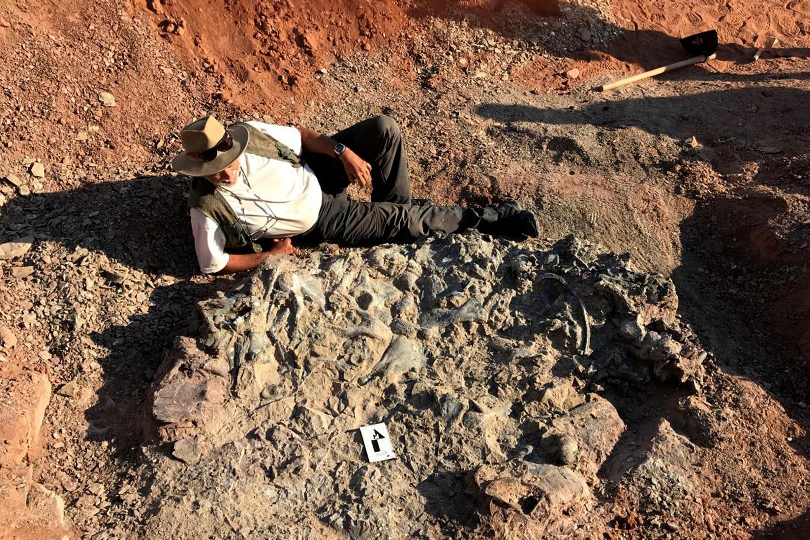 Oss�rio revela exist�ncia de novas esp�cies jur�ssicas