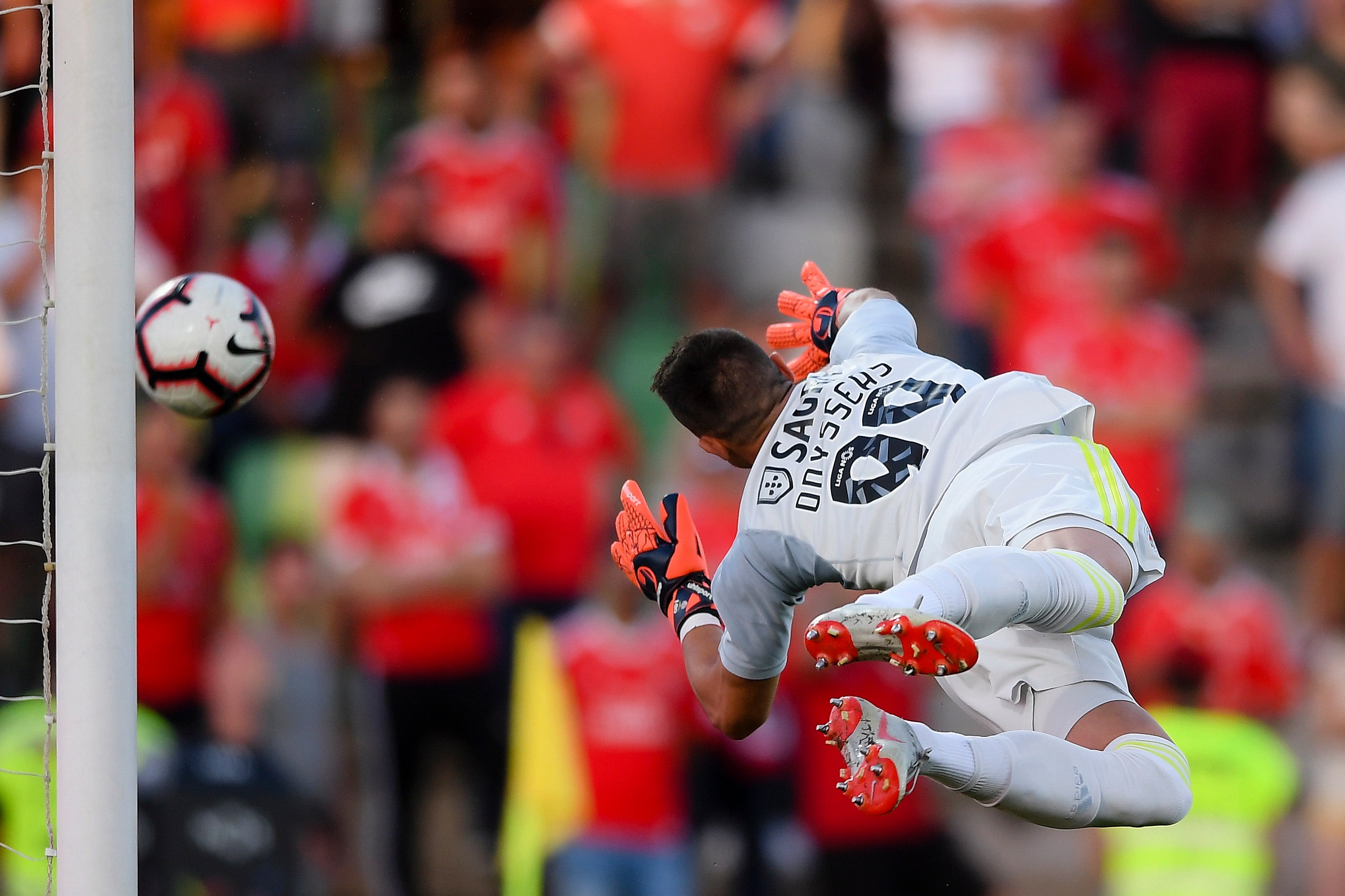 Odysseas Vlachodimos renovou com o Benfica at� 2024