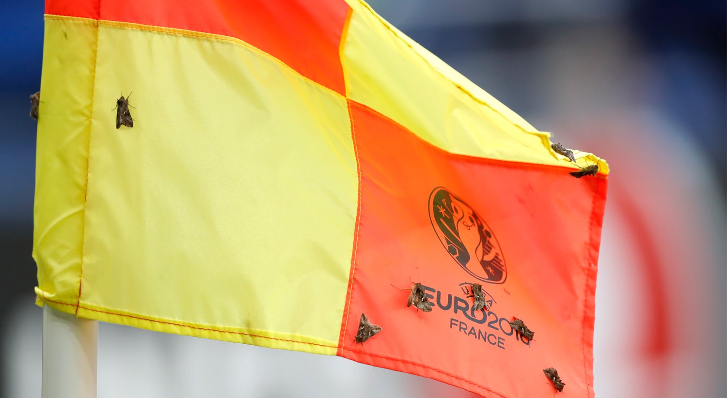 Euro 2016: A praga de tra�as de Saint-Denis