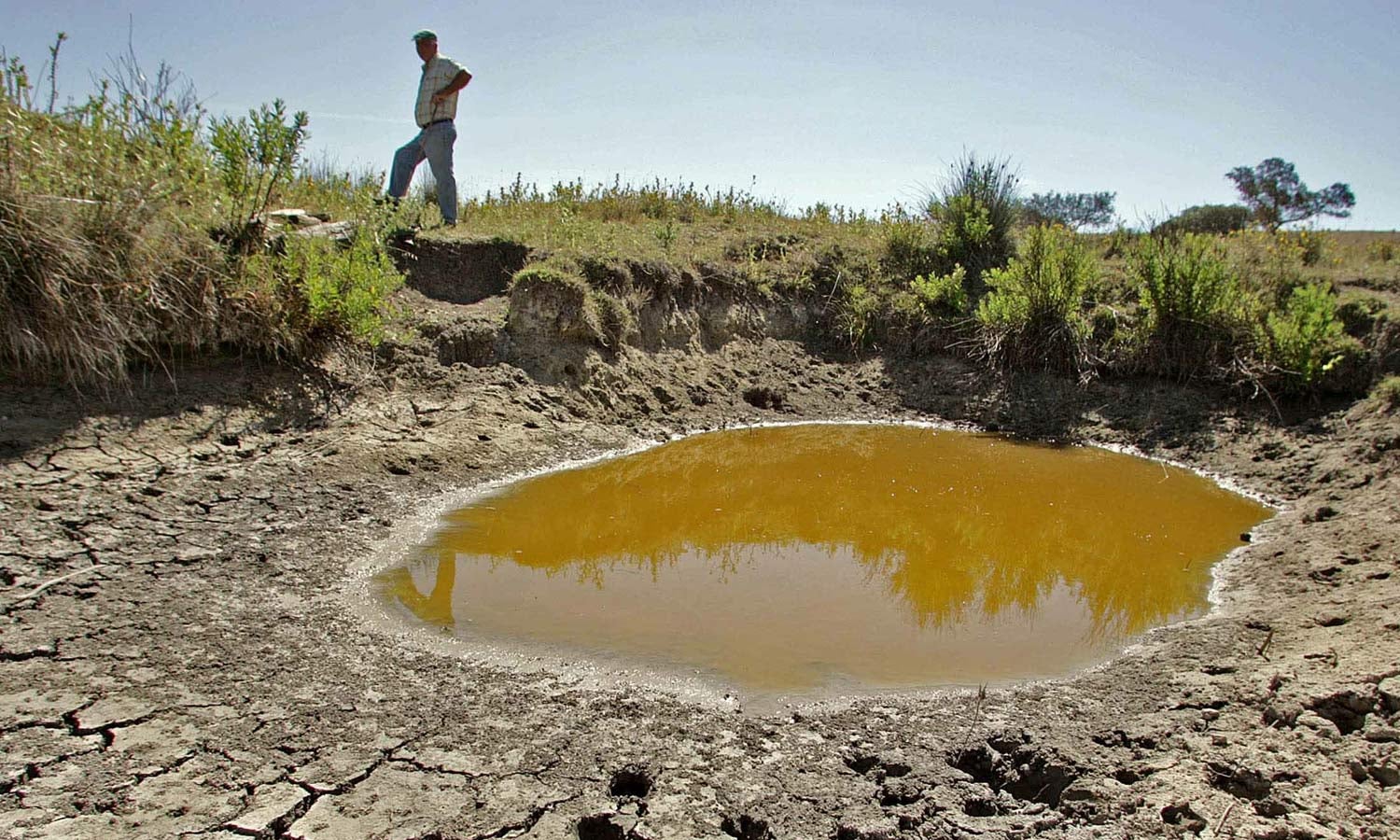 Seca em Portugal. O panorama � mau e pode ficar dram�tico, diz CAP