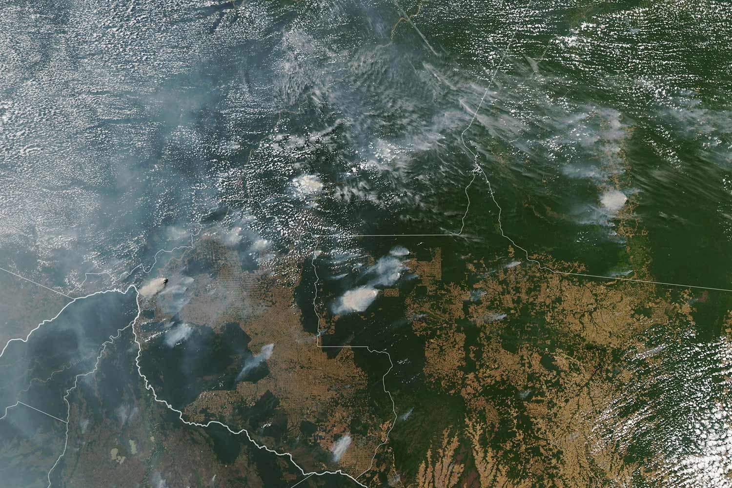 Amaz�nia est� a arder