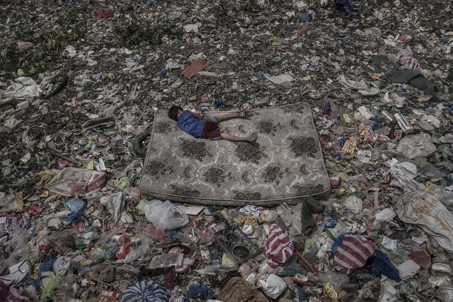 M�rio Cruz premiado no World Press Photo