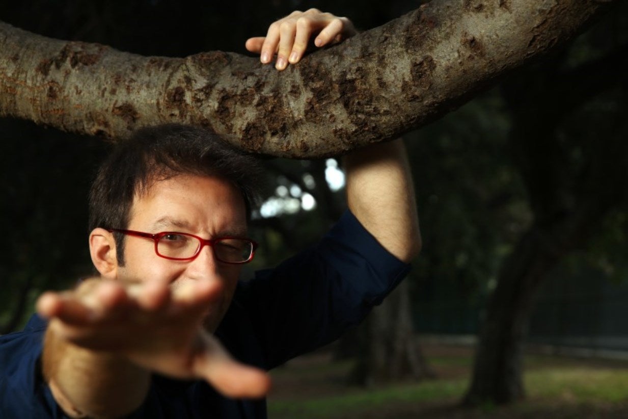 M�gico portugu�s bate recordes de bilheteira nos Estados Unidos