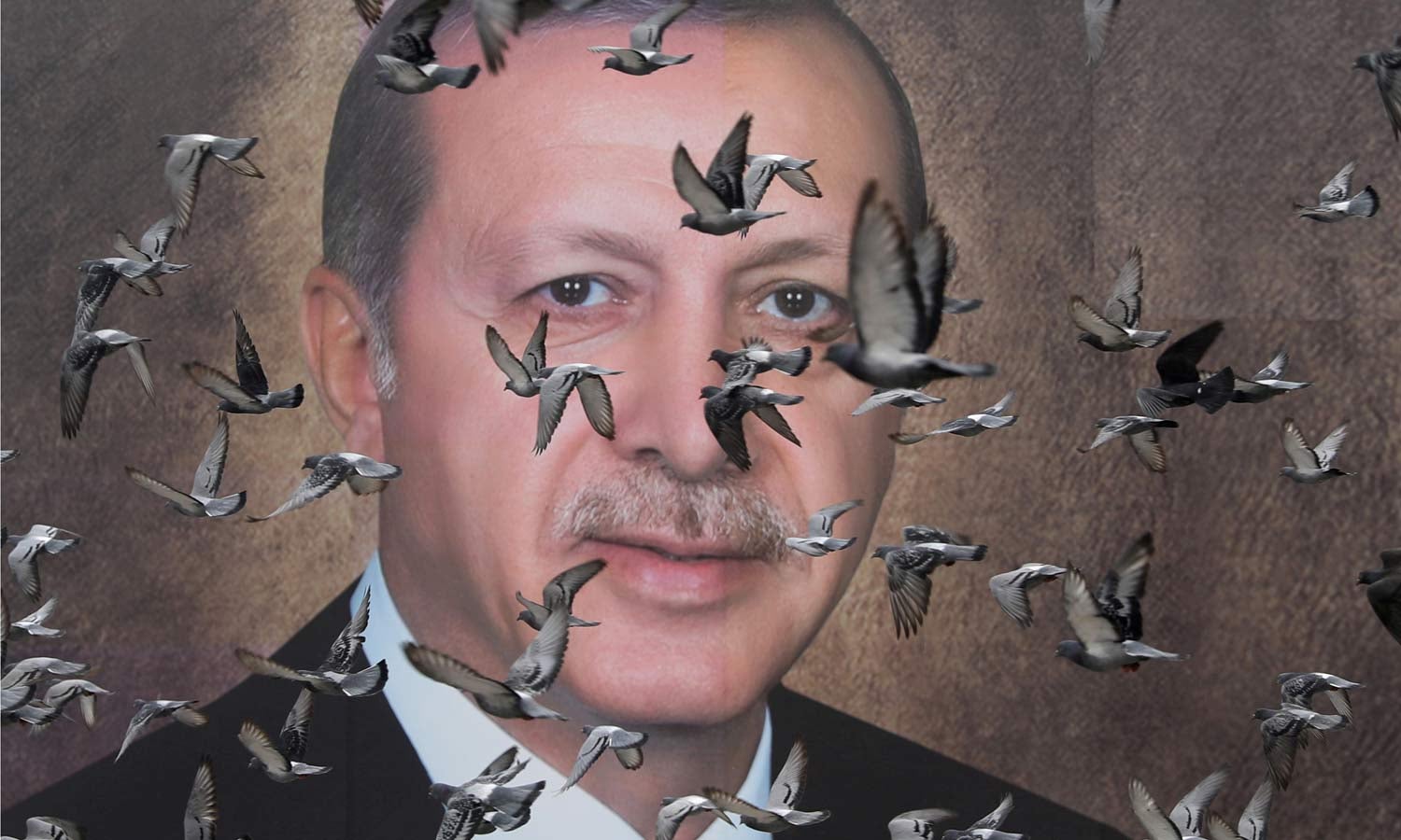 Tayyip