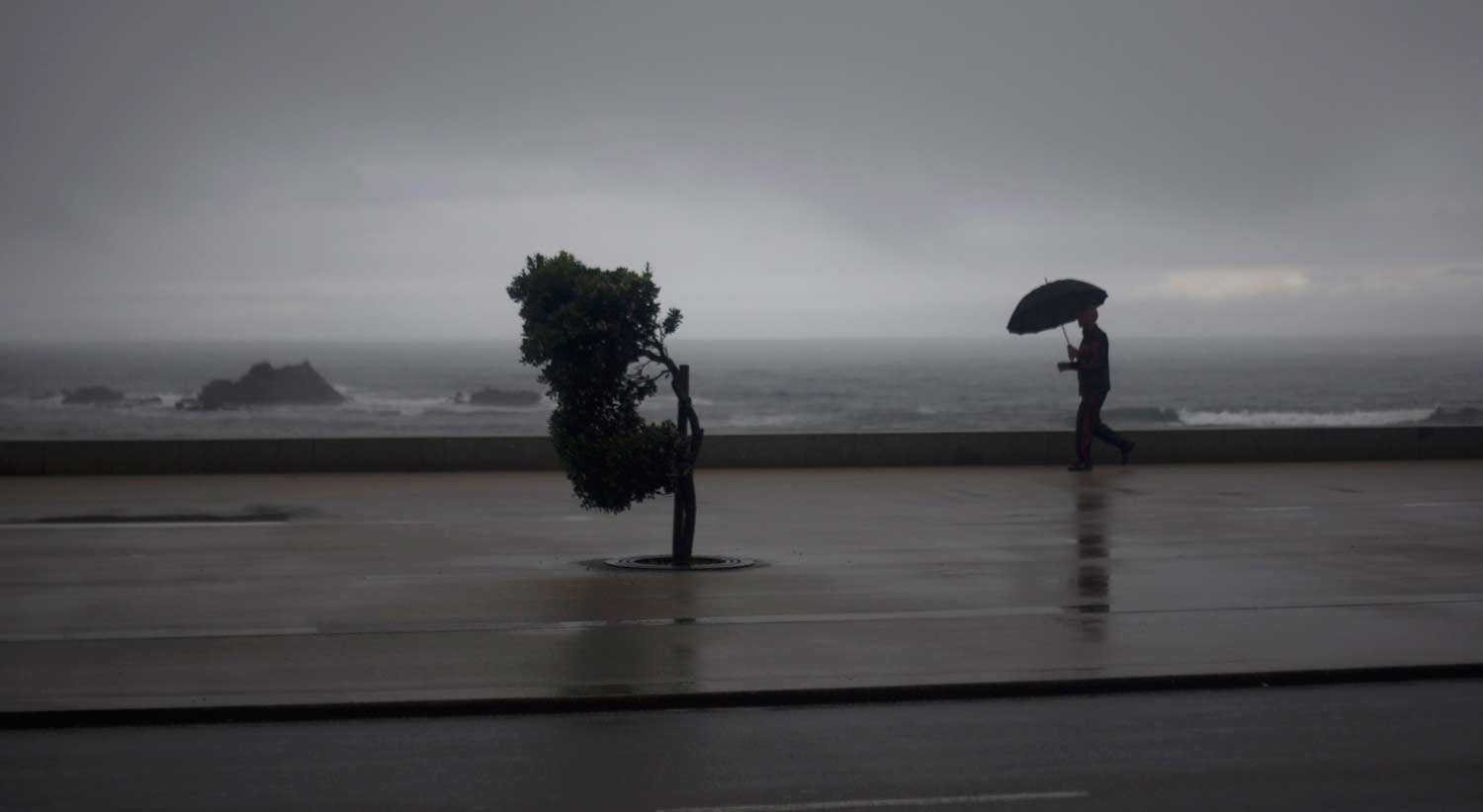 Vento forte coloca v�rios distritos em alerta laranja