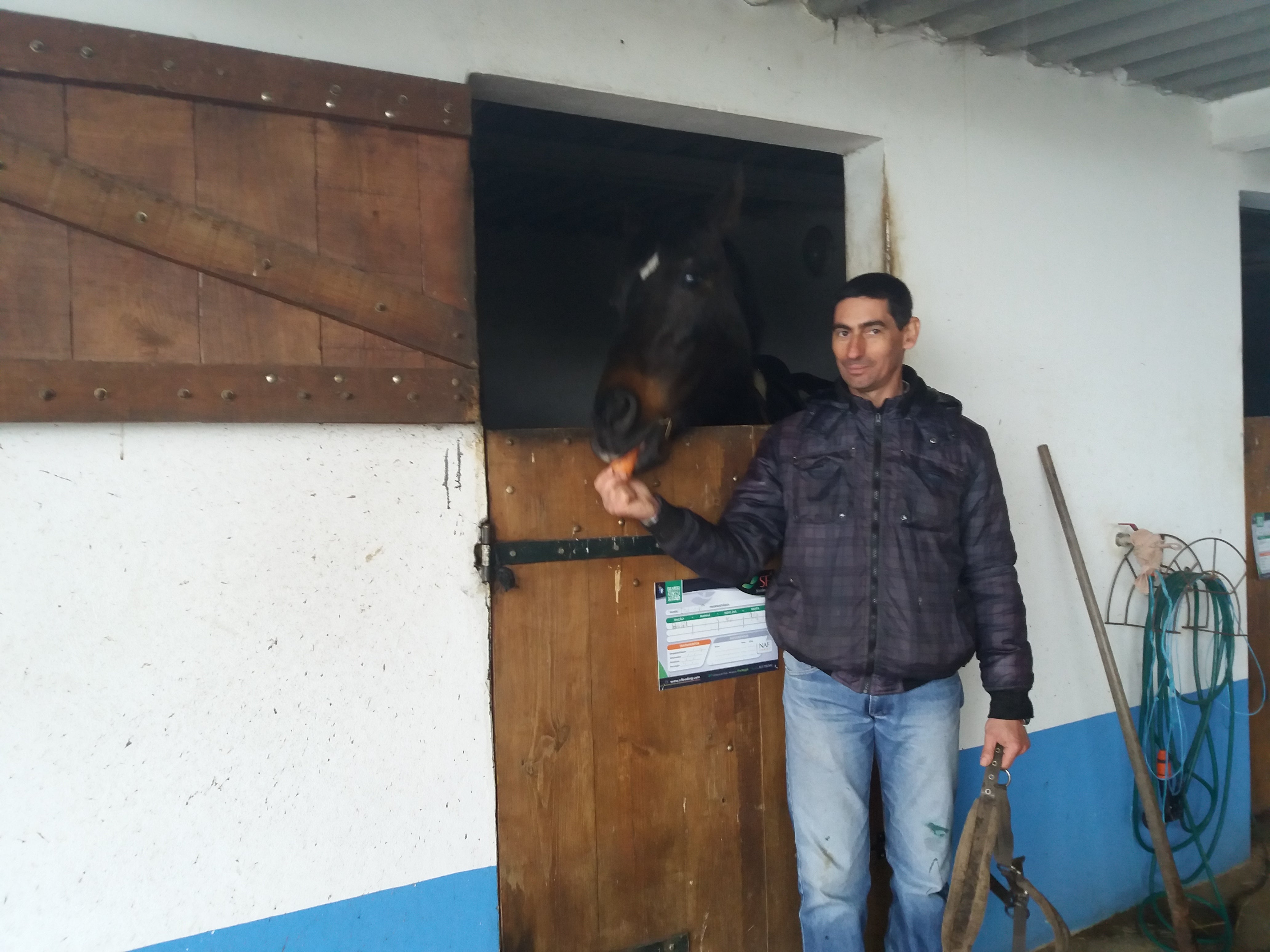 Atletas lusos avan�am para os Special Olympic 2019