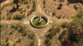 Imagem de O Jardim Desapareceu