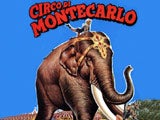 Imagem de CIRCO MONTECARLO