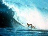 Imagem de O CAMPE�O DE SURF