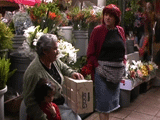Imagem de MERCADO DO BOLH�O 