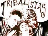 Imagem de TRIBALISTAS