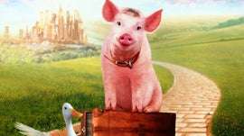 Imagem de Um Porquinho Chamado Babe