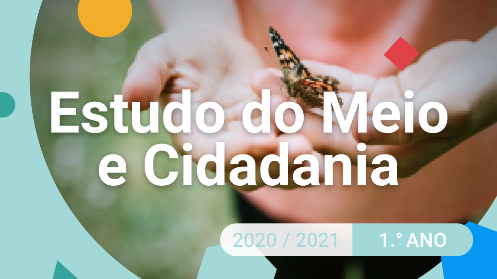 Imagem de Estudo do Meio e Cidadania - 1.º ano