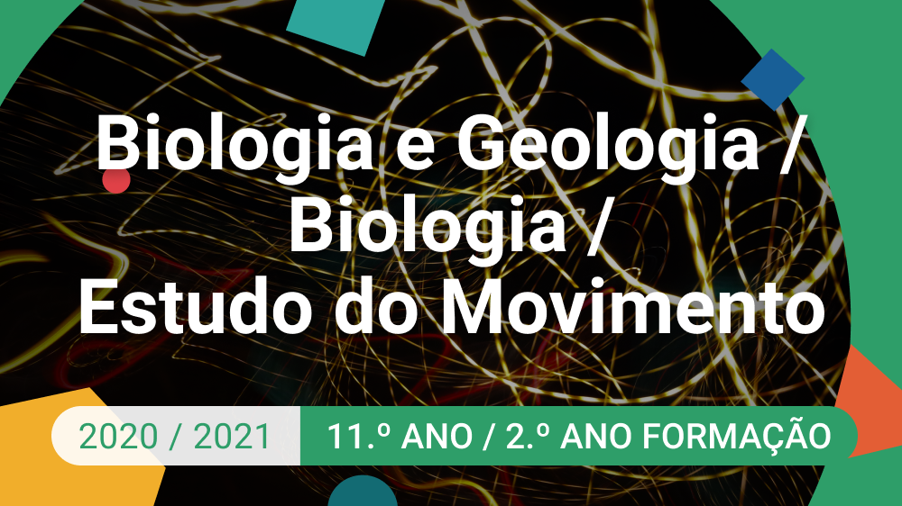 Imagem de Biologia e Geologia / Biologia / Estudo do Movimento - 11.º Ano