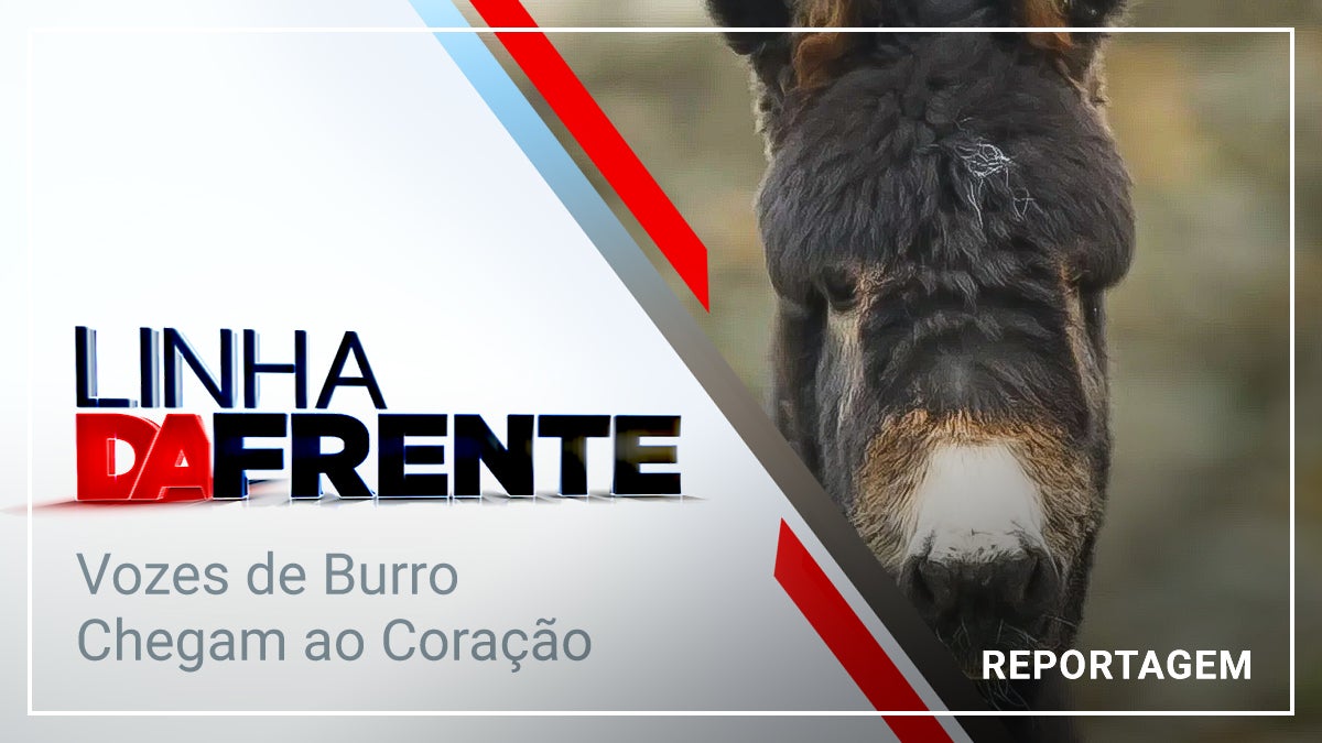 Imagem do Programa / Episiódio - Linha da Frente