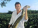 Imagem de AS AVENTURAS DAS PIRANHAS COM NIGEL MARVEN