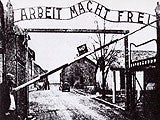 Imagem de Auscwitz - Os Nazis e a Solução Final