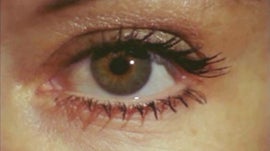 Imagem de O Esp�rito da Cor