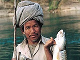 Imagem de O PEIXE DOS DEUSES