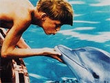 Imagem de FLIPPER, O RAPAZ E O GOLFINHO