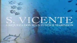 Imagem de S�o Vicente, a Riqueza dos Seus Fundos Marinhos