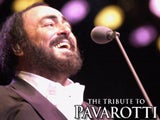 Imagem de PAVAROTTI - MEMORIAL CONCERT (SALUTE PETRA)