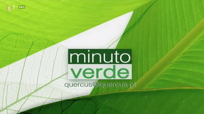 Minuto Verde de 26 fev 2026 - RTP Play