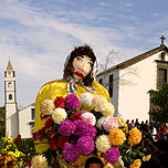 Imagem de CARNAVAL 2007/CORTEJO TRAPALH�O