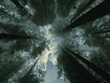 Imagem de Lugares Remotos da Natureza