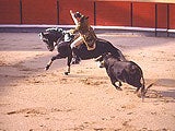 Imagem de TOURADA - XLIII GRANDE CORRIDA TV - MONTIJO 