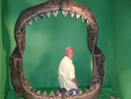 Imagem de PREDADORES  PR� - HIST�RICOS 