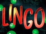 22620_lingo.jpg?amp;w=270