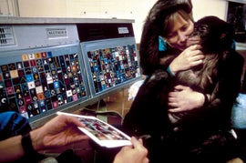 Imagem de Quem Imita Quem?