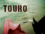 Imagem de Touro