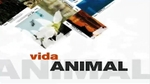 Play - Vida Animal em Portugal e no Mundo