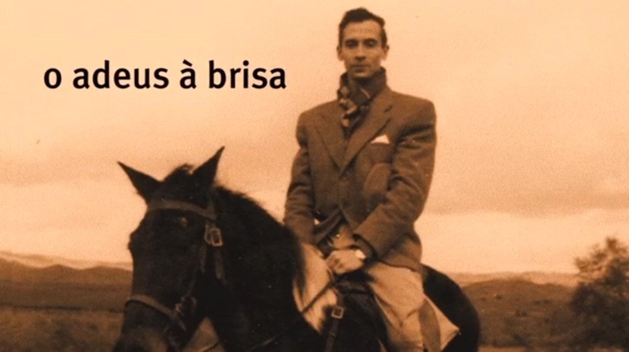 Imagem de O Adeus à Brisa
