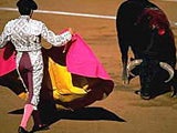 Imagem de Tourada: Corrida Mista no Campo Pequeno - 2009