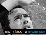 Imagem de DAVID FONSECA - BETWEEN WAVES