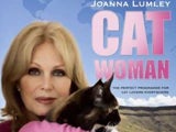Imagem de Joanna Lumley e os Gatos