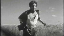 Imagem de O Trigo e o Joio